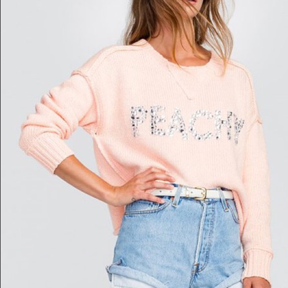 NWT Wildfox “Peachy” Marlon Sweater S,M
